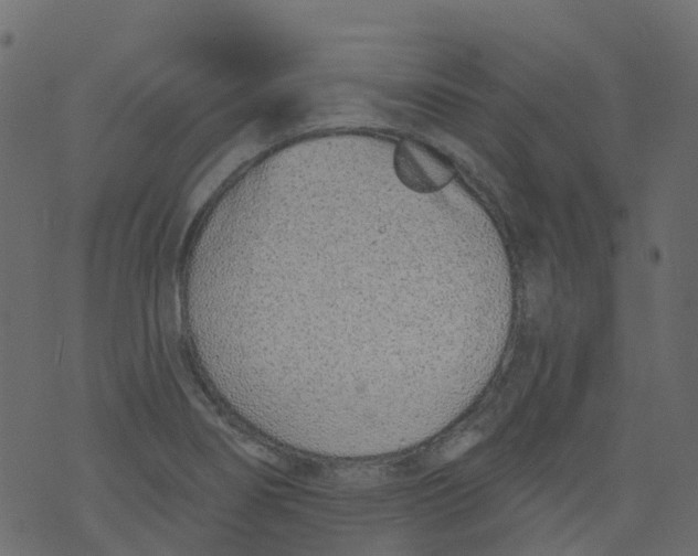 X0000073461274200608251722