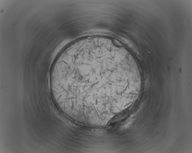 X0000073461275200608251722