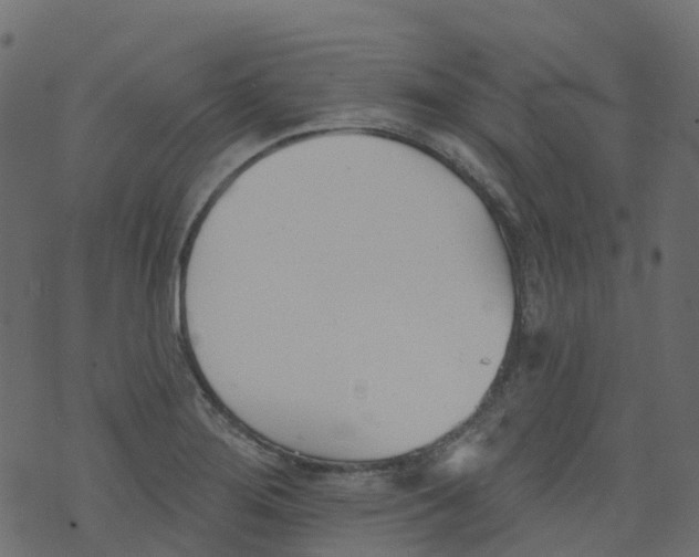 X0000073461276200608251722