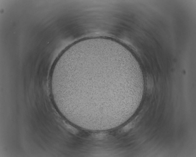 X0000073461278200608251722