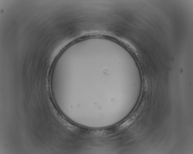 X0000073461279200608251722