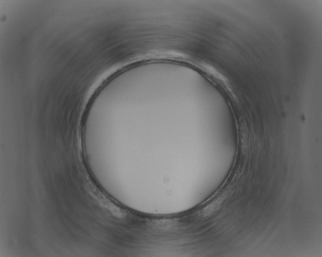 X0000073461280200608251722