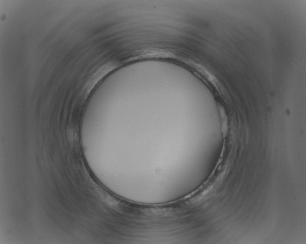 X0000073461281200608251722