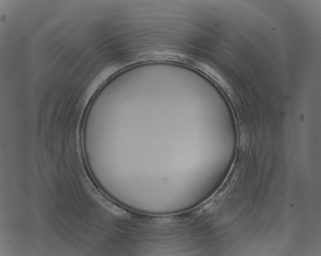 X0000073461283200608251722