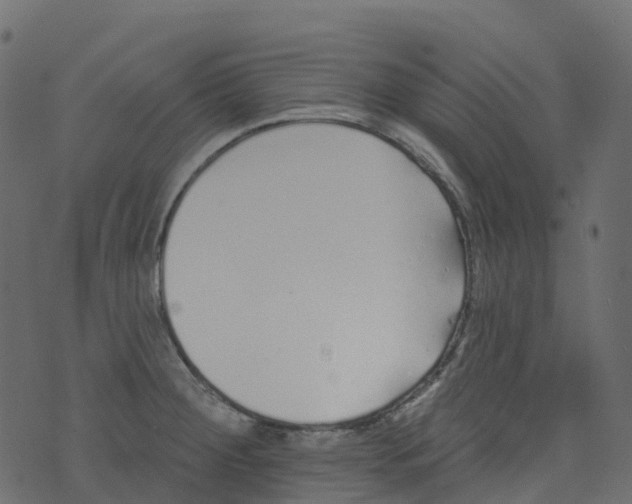 X0000073461284200608251722