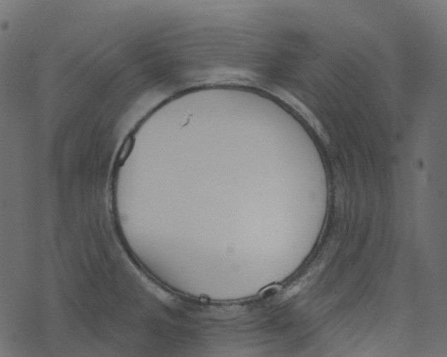 X0000073461285200608251722