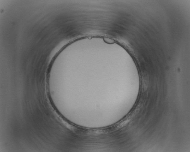 X0000073461286200608251722