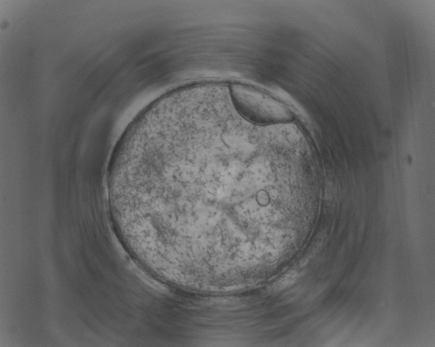 X0000073461287200608251722