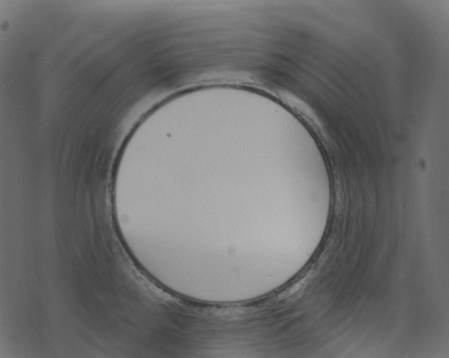 X0000073461288200608251722