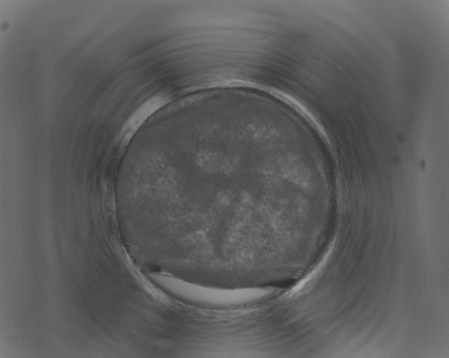 X0000073461289200608251722