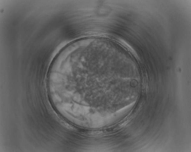 X0000073461291200608251722