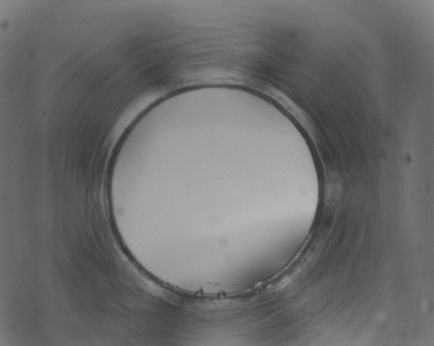 X0000073461293200608251722