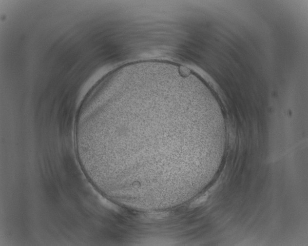 X0000073461294200608251722