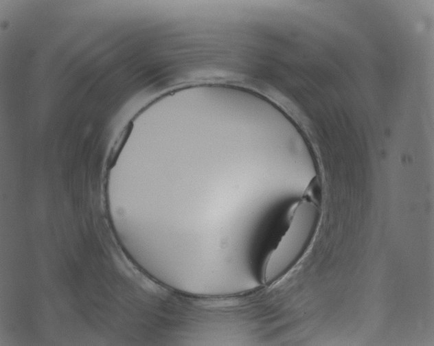 X0000073461296200608251722