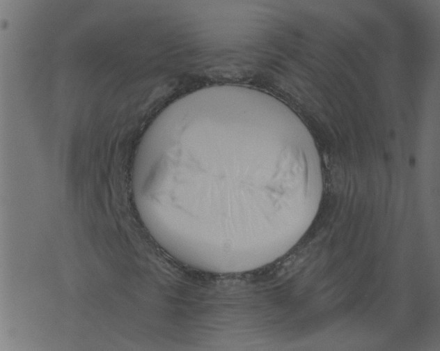 X0000073461297200608251721