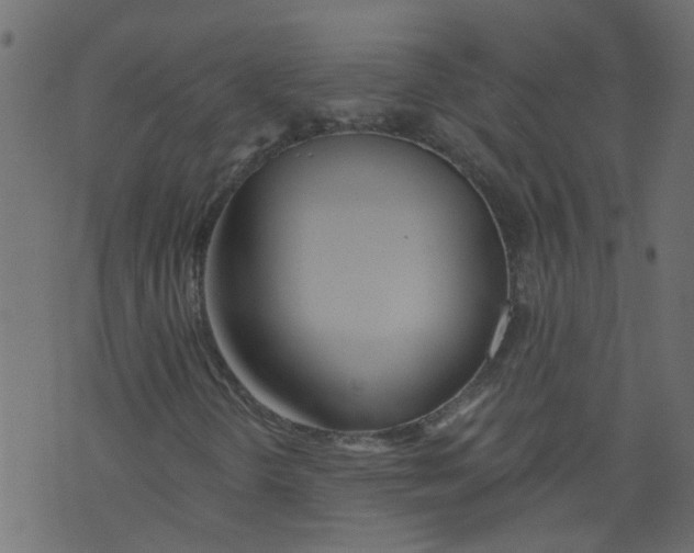 X0000073461298200608251721