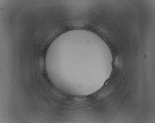 X0000073461299200608251721