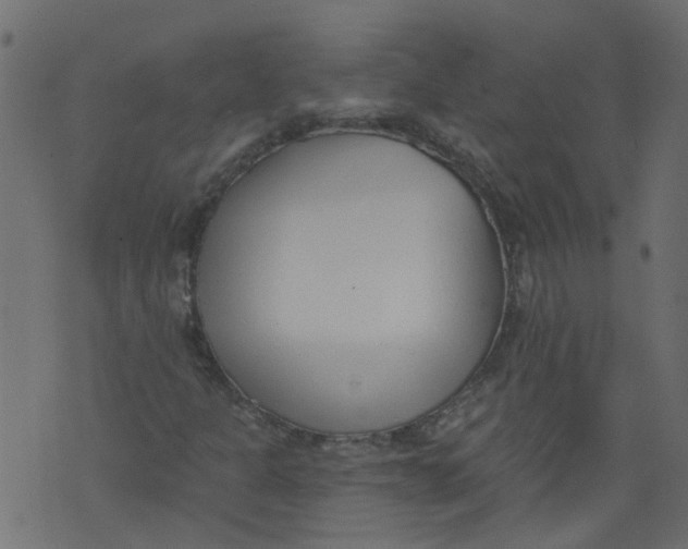 X0000073461301200608251721