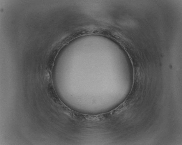 X0000073461302200608251721