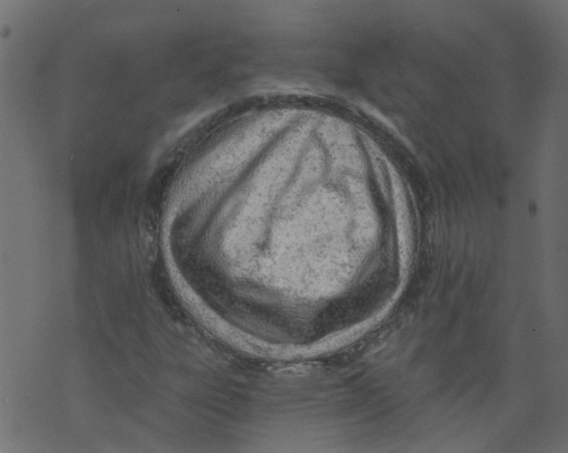 X0000073461303200608251721