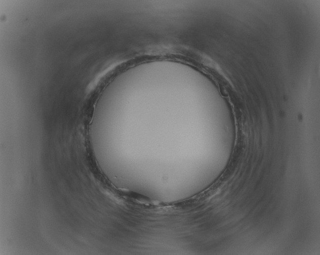 X0000073461304200608251721