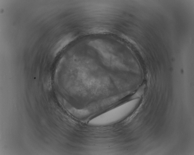 X0000073461306200608251721