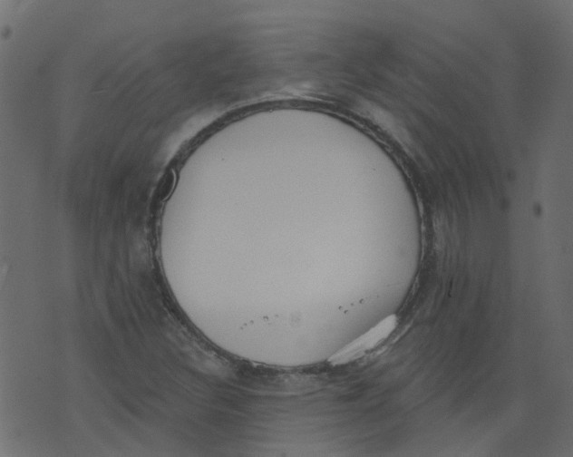 X0000073461308200608251721