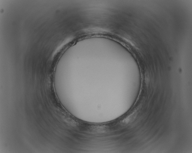 X0000073461309200608251721