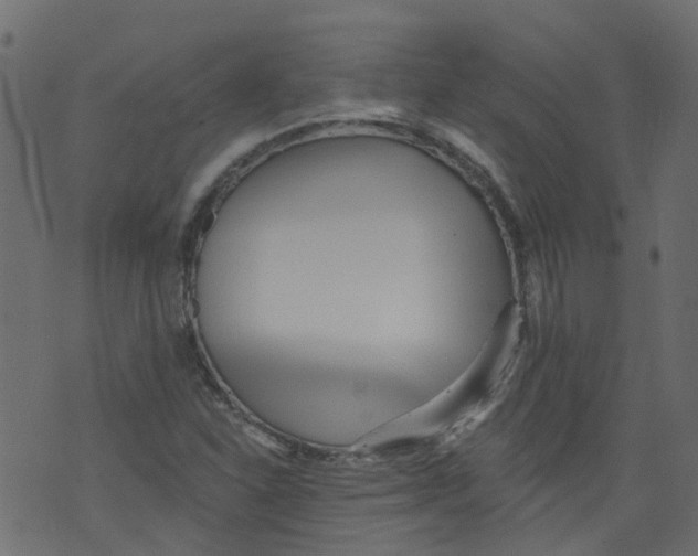 X0000073461310200608251722