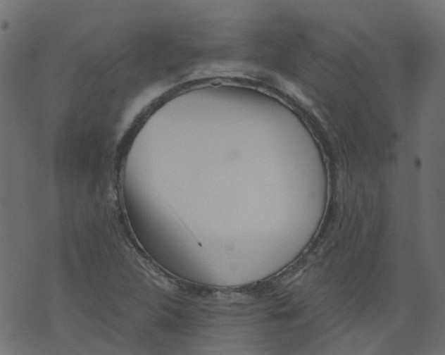 X0000073461312200608251722