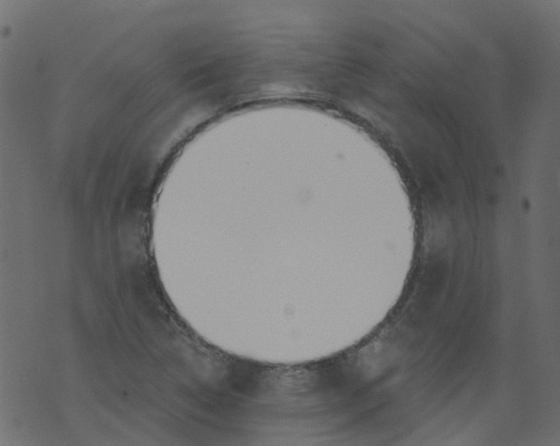 X0000073461314200608251722