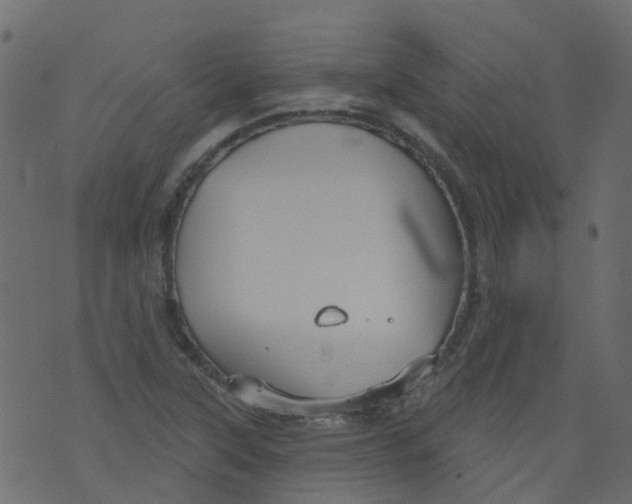 X0000073461315200608251722