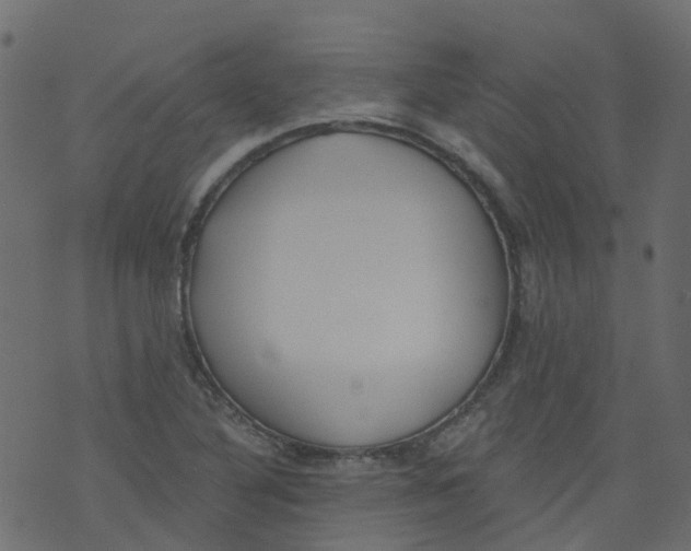 X0000073461316200608251722