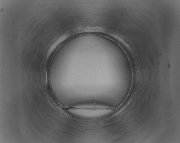 X0000073461317200608251722