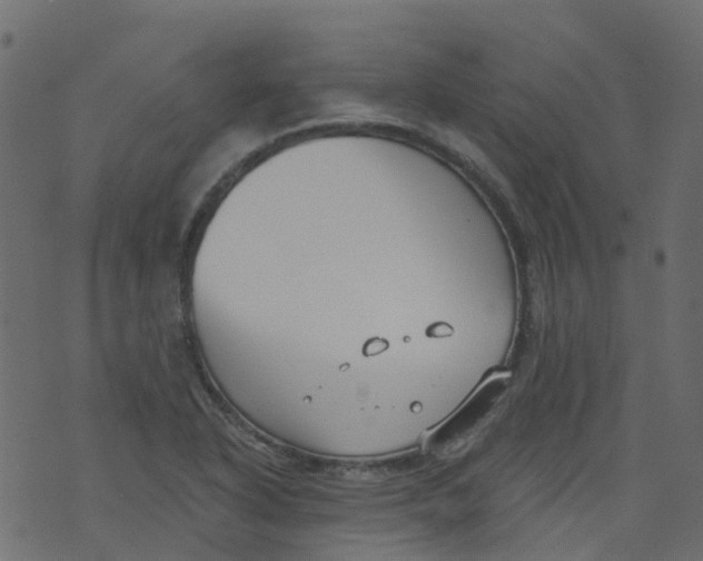 X0000073461318200608251722