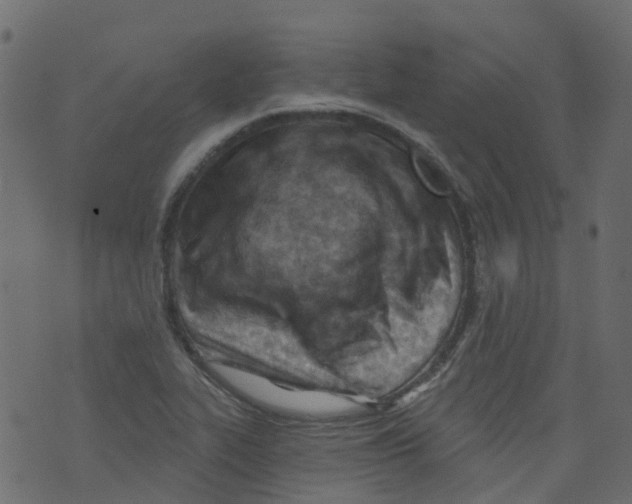 X0000073461319200608251722