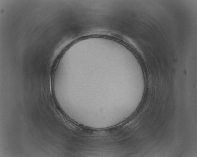 X0000073461320200608251722