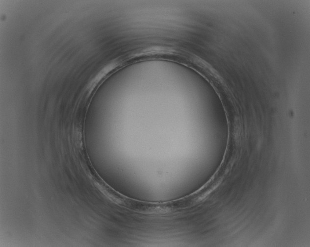 X0000073461321200608251722