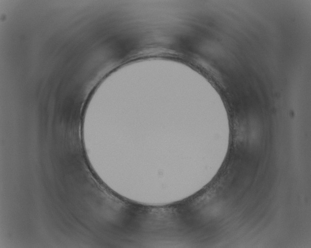 X0000073461322200608251722