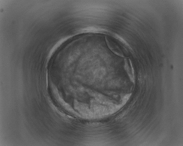 X0000073461323200608251722