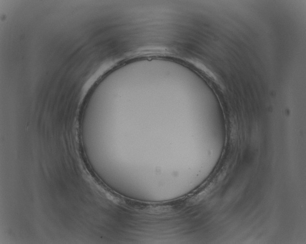 X0000073461325200608251722