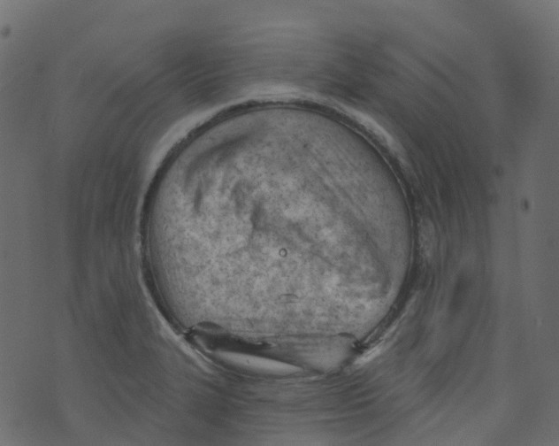 X0000073461327200608251722