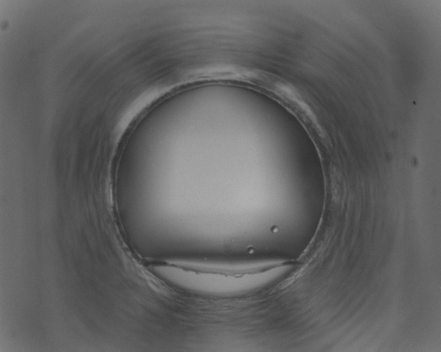 X0000073461328200608251722