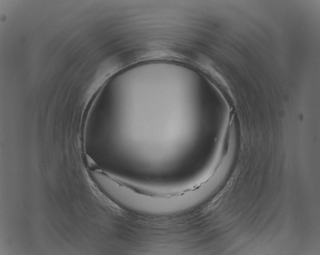 X0000073461330200608251722