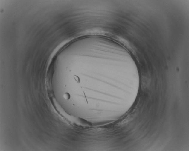 X0000073461331200608251722