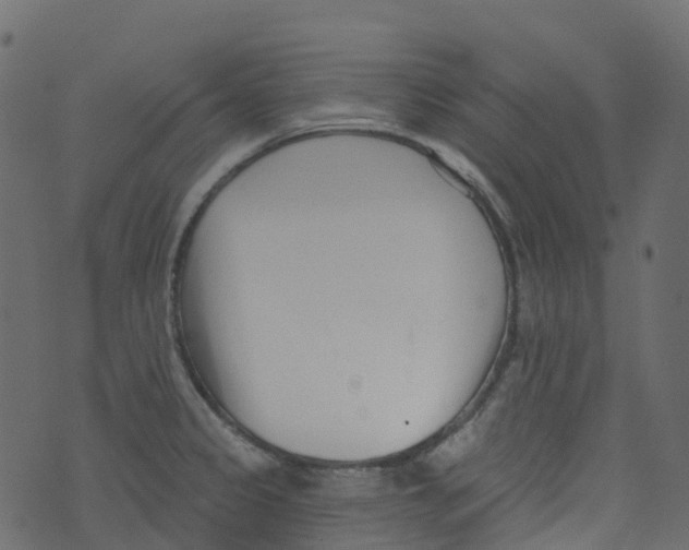 X0000073461333200608251722