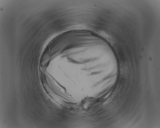 X0000073461334200608251722