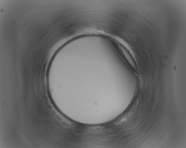 X0000073461335200608251722