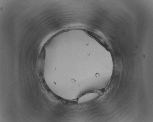 X0000073461336200608251722