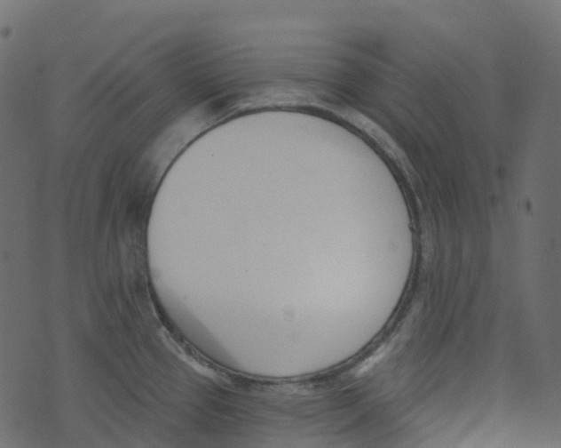 X0000073461337200608251722